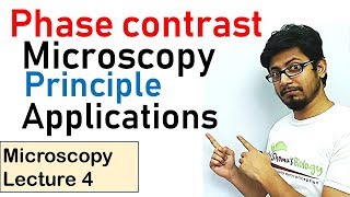 Phase contrast microscopy principle and working [upl. by Collimore489]