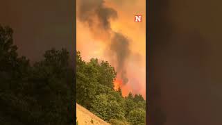 Line Fire California Blaze Grows Rapidly as Thousands of Homes at Risk [upl. by Siravart119]