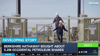 Berkshire Hathaway Buys 52M OXY Shares [upl. by Coheman]