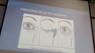 Anatomía y Fisiología OJO  OFTALMOLOGIA [upl. by Sitnalta]