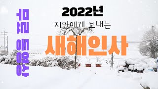 2022년 새해인사 동영상  무료소스 [upl. by Mehs356]