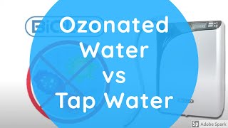 Ozonated water vs Tap water  Seafood Washing【Biolux】 [upl. by Ainav]