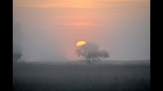 Weerbericht voor vrijdagmiddag Koude nachten [upl. by Liatrice]