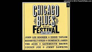 Chicago Blues Festival 1969 71  Early In The Morning  The Aces [upl. by Nylirehc]