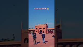 New video jamma masjid Delhi 🕌💫 [upl. by Reffinnej]