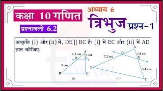 NCERT Solutions for Class 10 Maths Chapter 6 Exercise 62 Question 1 त्रिभुज in Hindi Medium [upl. by Nanerb]