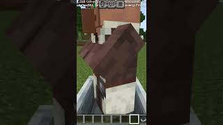 Villagers mo ncraft shortfeed [upl. by Norty]