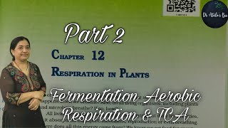 Respiration in Plants Part2  Class 11 Biology  NCERT NEET [upl. by Kurman469]