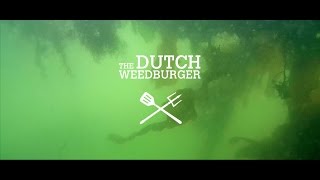 The Dutch Weed Burger  Zeewier Heb jij hem al geproefd [upl. by Ginsburg]