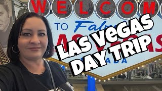 Exploring LAS VEGAS In One day  8 Hour Day Trip [upl. by Nirtak162]