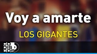 Voy a Amarte Los Gigantes Del Vallenato  Audio [upl. by Lohse]