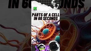 The Secrets of the Cell A 60Second Breakdown science biology sciencefacts cellularlife [upl. by Jo146]