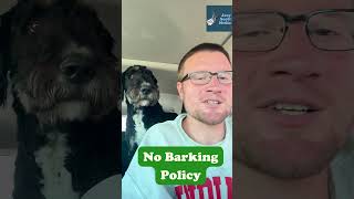 No Barking Policy bernedoodle doodle dog funny funnydog doglife doglover [upl. by Devi127]