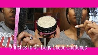 Chebe 7 inches in 40 Days  Day 1 6 and 11 Results [upl. by Effie929]