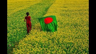 Amar Sonar Bangla Ami Tomai Valobashi Bangladesh National Song [upl. by Jovi]