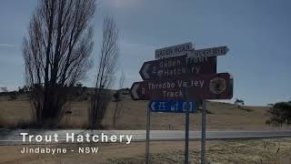 Inside Jindabyne Exploring the Trout Hatchery in NSW Australia [upl. by Nikki]