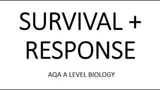 SURVIVAL AND RESPONSE  AQA A LEVEL BIOLOGY  EXAM QUESTIONS RUN THROUGH [upl. by Spearing493]