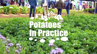 Potatoes in Practice 2024 [upl. by Sydalg44]