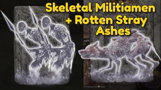 Skeletal Militiaman  Rotten Stray Ashes location  Elden Ring [upl. by Eladal]