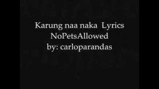 Karung Naa Naka  NoPetsAllowed Lyrics on screen [upl. by Ohploda]