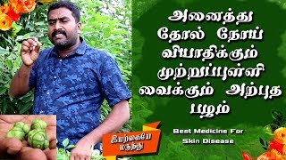 Skin Infection And Disease Treatment Tamil  Skin Care Tips Tamil [upl. by Lagas783]