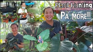 Biglaang Plant Hunting At Ang Daming Halaman Sa Nakatagong Lugar Sa Ubay Bohol  Mura Lang Ba [upl. by Adnohsad]