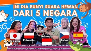 TERNYATA PERBEDAAN SUARA HEWAN ANTAR NEGARA INI LUCU YA BERASA DI KEBUN BINATANG [upl. by Leverick]