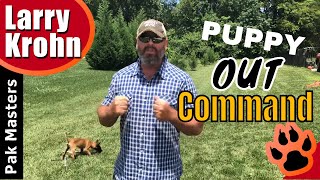 Teaching the OUT command to high drive puppies [upl. by Imefulo]