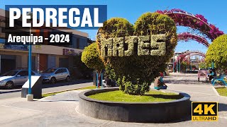 ¿Cuanto ha CRECIDO EL PEDREGAL Majes  Arequipa 4K  2024 [upl. by Kudva]