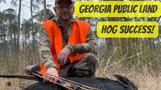 Georgia Public Land Hog Success [upl. by Glass]