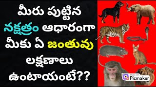 Nakshatra Characteristics in telugu Nakshatra lakshanaluastrology teluguGurubrahma Channel [upl. by Ralina493]