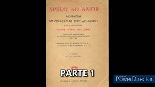 AUDIO LIVRO  APELO AO AMOR  JOSEFA MENÉNDEZ PARTE 1 [upl. by Nigen]