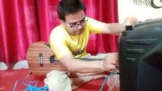 KadenceBaritone Ukulele 30quot Baritone SemiAcoustic with Tuner [upl. by Rumit554]