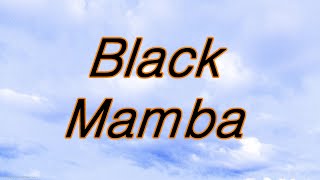 Black Mamba [upl. by Jayne898]