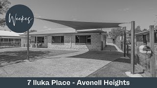 7 Iluka Place  Avenell Heights [upl. by Yllak]