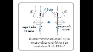 วิธีการใช้งาน AnyLab Covid19 Ag Test Kit [upl. by Atnoed]