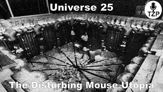 Universe 25 The Disturbing Mouse Utopia [upl. by Mad]