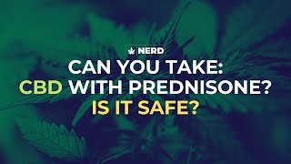 Can You Take CBD Oil With Prednisone  Ep13  Hemp Nerd Podcast 🌿 🍀 [upl. by Neerhtak]