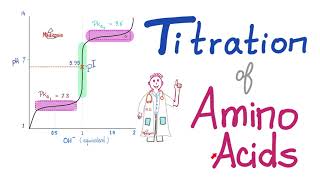 Titration of Amino Acids  pH pKa1 and pKa2  Isoelectric Point Amino Acids Part 4 [upl. by Ahsemo]