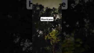 The most recent hurricane as it scathed florida weather fyp fypシ゚viral hurricane florida wow [upl. by Salaidh]