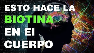 Para Que Sirve La Biotina En El Cuerpo Humano [upl. by Adiari243]