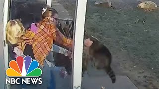 Watch Wild Animal Attacks On Two Young Girls Caught On Camera [upl. by Vizza]