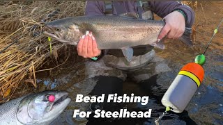 Bead Fishing for Oregon Coastal River WINTER STEELHEAD [upl. by Ai275]