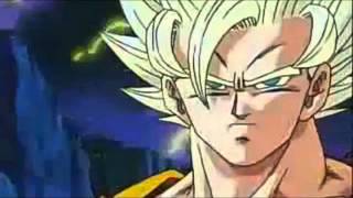 DBZ AMVGoku Warrior Disturbed [upl. by Arah]