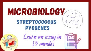 STREPTOCOCCUS PYOGENES  Microbiology  2nd Year MBBSBDS easy lecture [upl. by Lilla295]