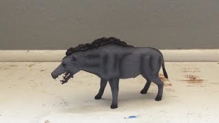 MOJO Entelodont Daeodon Review [upl. by Joh2]