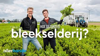 Is bleekselderij gezond  Dit is het seizoen  Allerhande [upl. by Holton230]