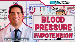 Cardiovascular  Blood Pressure Regulation  Hypotension [upl. by Dulcle718]