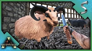 MAKING THE SHEEP SLAUGHTER HOUSE MUTTON FARM  Ark RAGNAROK DLC Gameplay S3E58 [upl. by Dennett]