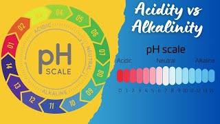 Acidity vs Alkalinity  The Ultimate Guide [upl. by Faith]